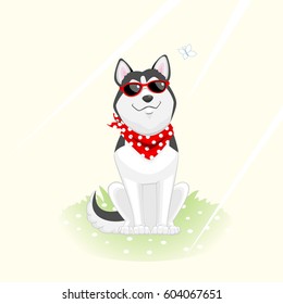 Husky dog enjoying sunny weather