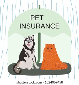 Husky dog and ginger cat under green umbrella with note pet insurance. Pet care banner, background, poster, concept. Flat cartoon style. Vector illustration