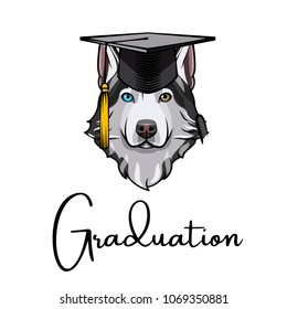 Husky dog Graduate. Graduation hat cap. Siberian husky. Vector illustration