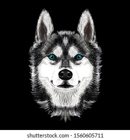 Husky dog a head cartoon. Black background