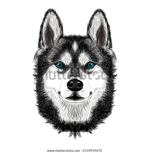 Husky Dog Head Cartoon White Background Stock Vector (Royalty Free ...