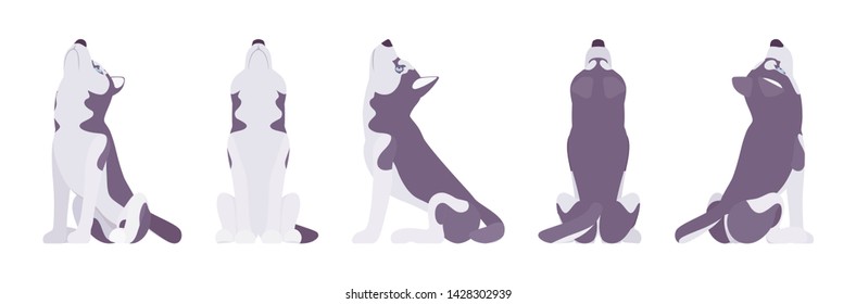 Husky dog howling. Northern sled, medium size compact Siberian breed, cute family companion for active fun and home security. Vector flat style cartoon illustration, white background, different views