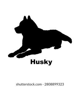 Husky dog icon logo design. Siberian husky sign and symbol. Husky silhouette icon. Pet shop and breeder branding.