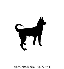 Husky dog isolated on white background vector illustration