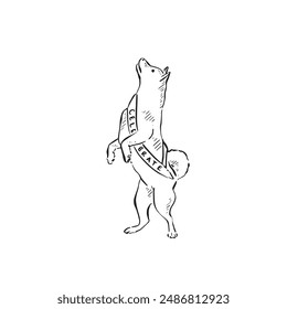 A husky dog on its hind legs, side profile wearing a sash saying 'celebrate'. Hand drawn in black and vectorised for a variety of uses.