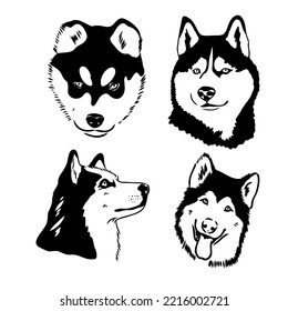 Husky dog portrait vector illustration husky vector