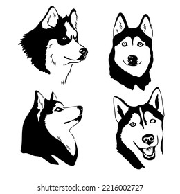 Husky dog portrait vector illustration husky vector