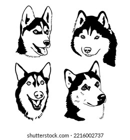 Husky dog portrait vector illustration husky vector