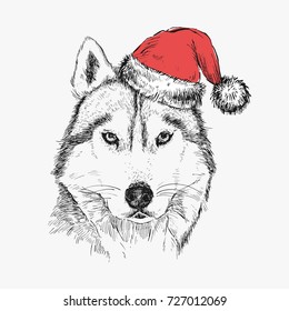 Husky dog in Santa Claus hat. Christmas card. 2018