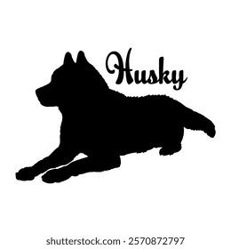 Husky dog silhouette, dog breeds, logo, vector, silhouette,  animal, illustration, icon, sign, design, black, symbol, pet, love
