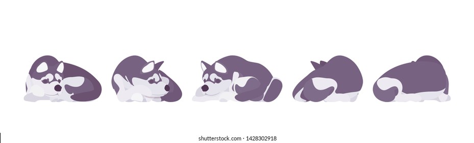 Husky dog sleeping. Northern sled, medium size compact Siberian breed, cute family companion for active fun and home security. Vector flat style cartoon illustration, white background, different views