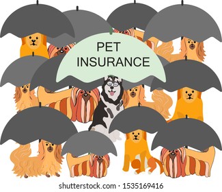 Husky dog under umbrella with note pet insurance. Different dogs under grey umbrella as sign of not being insured. Pet care banner, background, poster, concept.  Pet insurance concept. Vector.