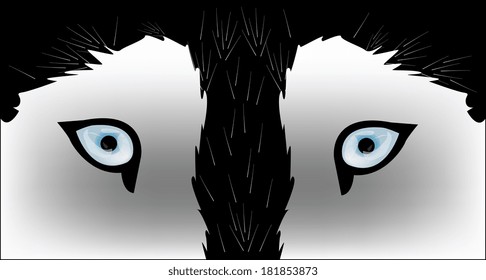 Husky dog - vector illustration 