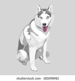 Husky dog. Vector illustration