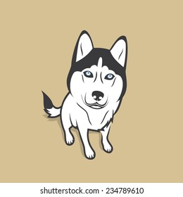 Husky dog - vector illustration