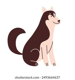 Husky dog vector illustration. Cute cartoon pet with markings and expressive eyes, adorable Alaskan Malamut puppy for animal lovers, pet shops, and veterinarians. Domestic animals flat design