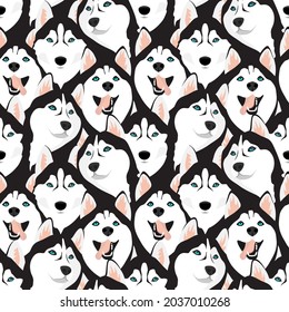 Husky dogs with blue eyes. Black and white background. Print for fabric, textile, paper, clothing. Seamless pattern Vector illustration