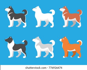 Husky dogs of different colors. Set. Vector.