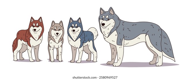 Husky dogs family colorful cartoon illustration. Four playful huskies in various shades stand on a white backdrop showcasing breed diversity and companionship