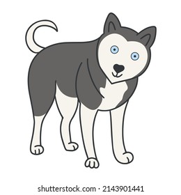 Husky doodle style isolated vector illustration. Dog hand drawn. Adult pet