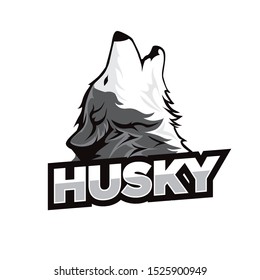 The Husky emblem logo Template - emblem logo of siberian husky - Husky vector illustration