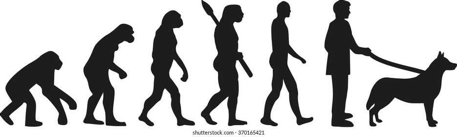 Husky evolution