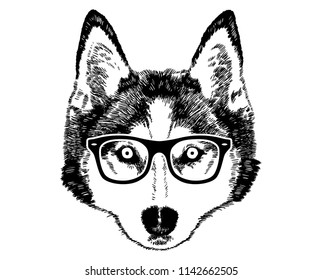 Husky face with glasses / black and white / vector / isolated