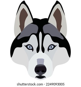 Husky face. Vector portrait of a dog head isolated on white background.