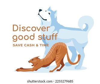 Husky and ginger cat sitting together isolated on white background. Advertising for breeders, pet stores, zoo clinics, zoo groomers. Vector flat illustration