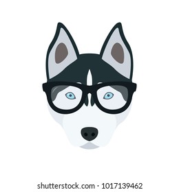 Husky in glasses. Cute dog vector illustration.