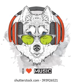 Husky in glasses and headphones. Vector illustration.