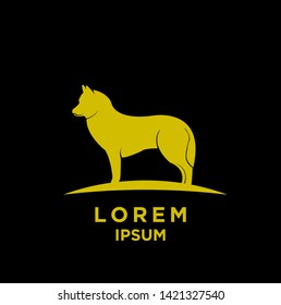 husky gold color silhouette black background isolated logo icon design vector illustration