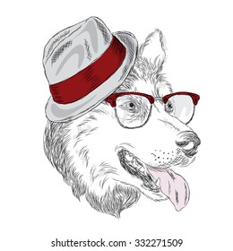 Husky hat and sunglasses . Purebred dogs . Hipster . Hand drawing . Vector illustration for greeting card, poster, or print on clothes.