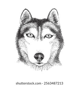 Husky head in pointillism technique. Illustration with black dots and spots