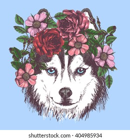 Husky hippie and flowers. Dog portrait in the style of boho. Fashion vector illustration for your blog, logo and other design.