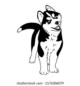 Husky isolated on white background. Stencil. Dog silhouette.