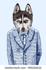 Husky in jacket. Vector illustration for greeting card, poster, or print on clothes. Fashion Style drawing. Hipster.
