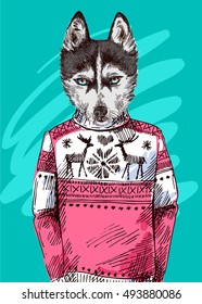 Husky in knitted sweater. Vector illustration for greeting card, poster, or print on clothes. Fashion Style drawing. Hipster.