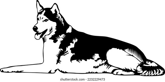 Husky Laying Down Vector Illustration