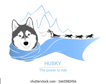 Husky mushing logo template with sample slogan. Portrait of a blue-eyed husky wearing a blue scarf. Excited musher waving their hand at us. Dog sledding sport. Vector illustration isolated on white. 