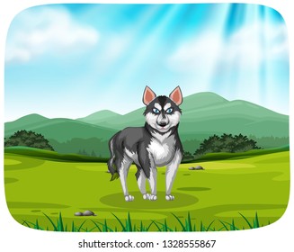 Un husky en la ilustración de fondo del paquete
