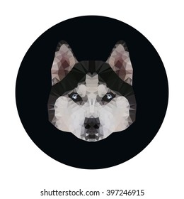 husky. polygonal graphics. vector illustration