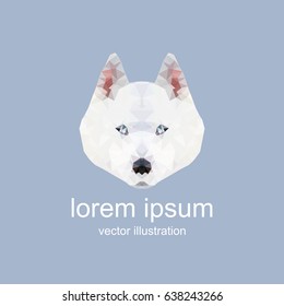 husky. polygonal graphics. vector illustration