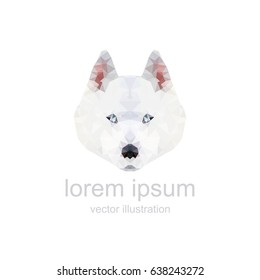 husky. polygonal graphics. vector illustration