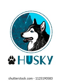 Husky portrait illustration in circle  on isolated background.  Scalable design. Print for t-shirt or any other surfase. With Husky name and husky paw. 