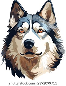 Husky portrait on white background, vector illustration of a dog