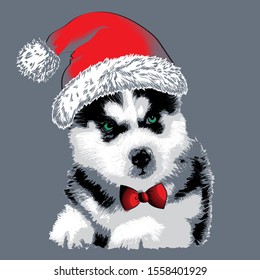 husky puppy handwriten with red Santa cap & bow tie vector illustration on grey background