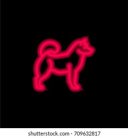 Husky red glowing neon ui ux icon. Glowing sign logo vector