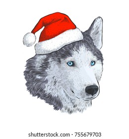 Husky in Santa hat. Portrait Engraving hand drawing isolated on white background. Dog - symbol of New Year 2018. Art vector Illustration