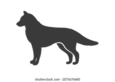 Husky silhouette. Siberian northern race dog, art vector icon isolated on white background